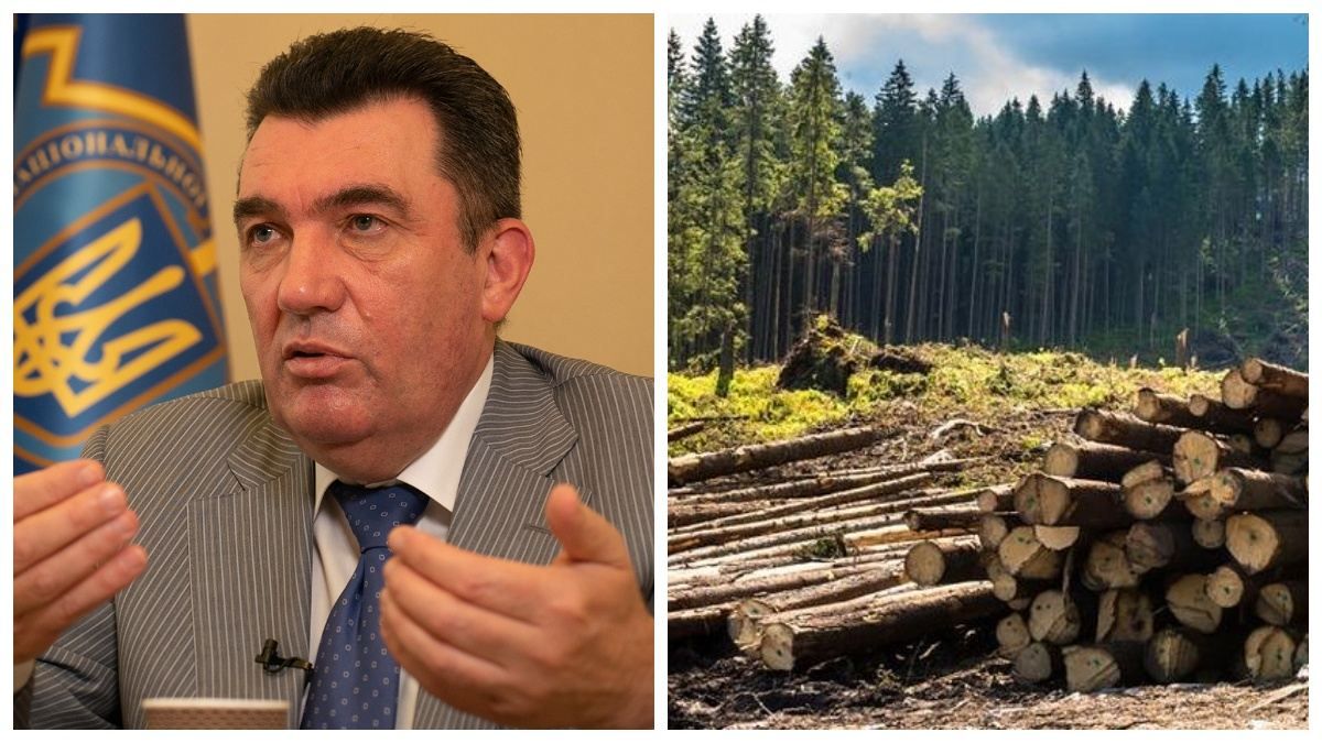 "Галузь кумівства": РНБО планує зайнятися питанням вирубки українських лісів - 24 Канал