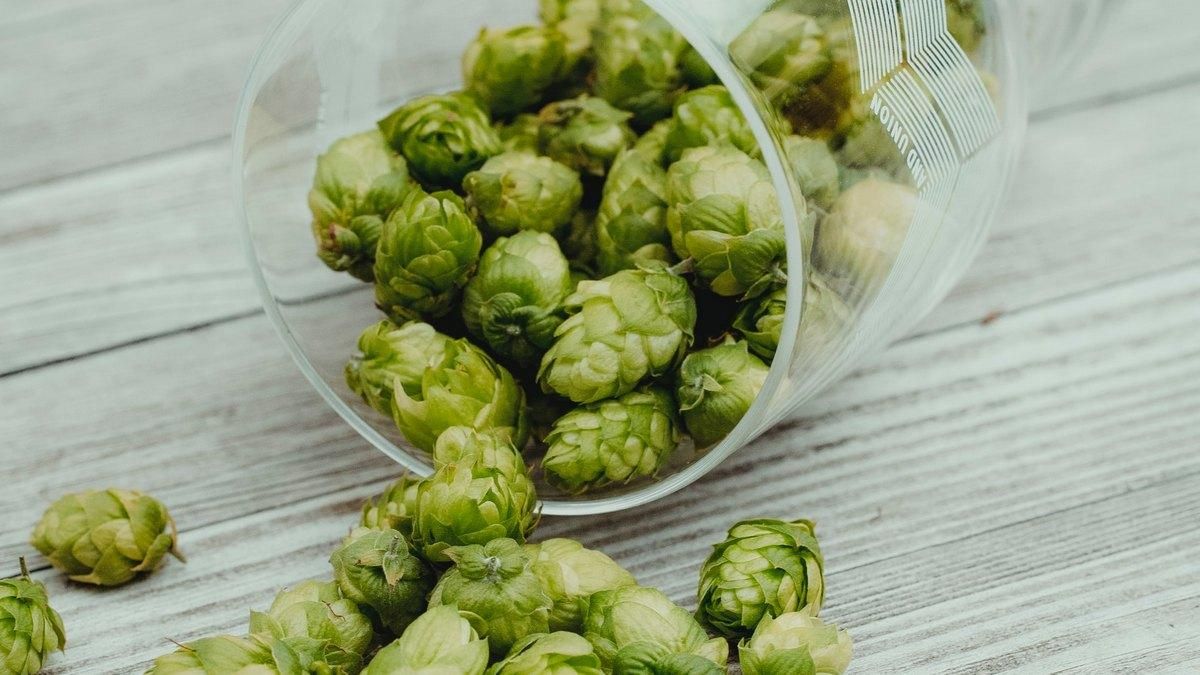 Хіміки знайшли понад 100 тисяч унікальних речовин в неочікуваному місці – у пиві - Новини технологій - Техно Хіміки знайшли понад 100 тисяч унікальних речовин в неочікуваному місці – у пиві - Новини технологій - Техно