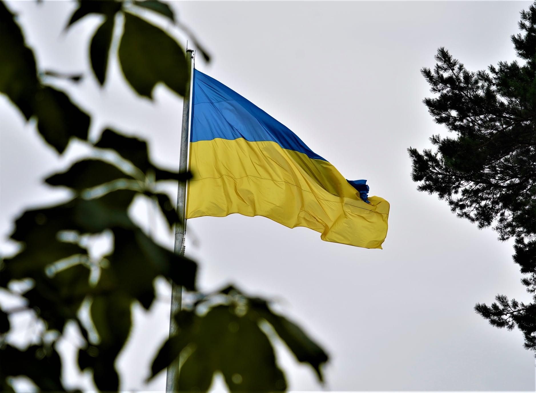 Во Львове подняли Государственный Флаг на самом высоком флагштоке области: впечатляющие фото
