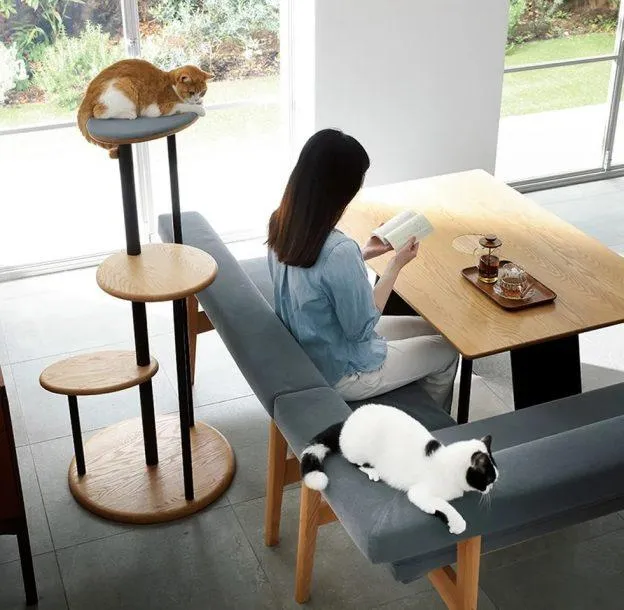 Щоб обідати разом з улюбленцем: в Японії розробили стіл з отвором для кота