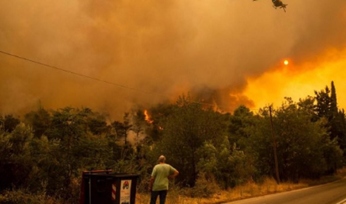Біля Афін знову горять ліси: фото та відео пожеж - 24 Канал