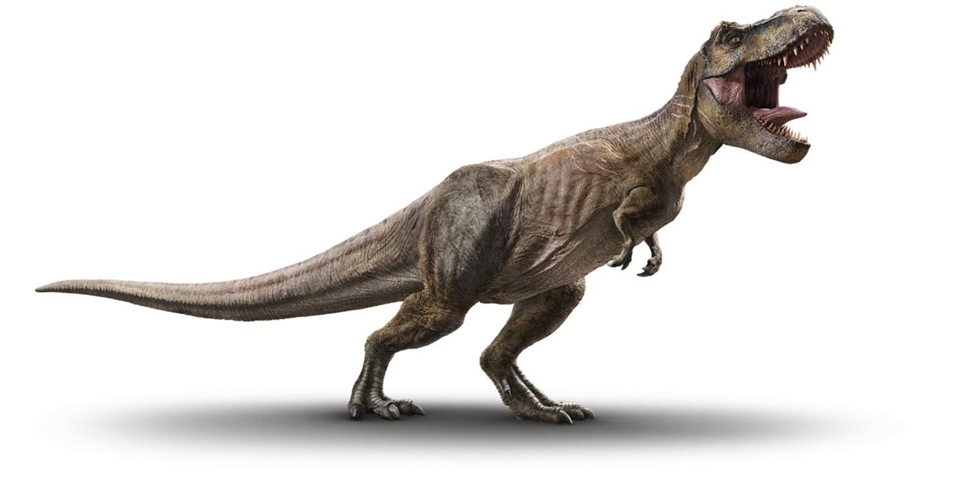 В челюстях тираннозавров были рецепторы, которые делали их еще лучшими хищниками В челюстях тираннозавров были рецепторы, которые делали их еще лучшими хищниками