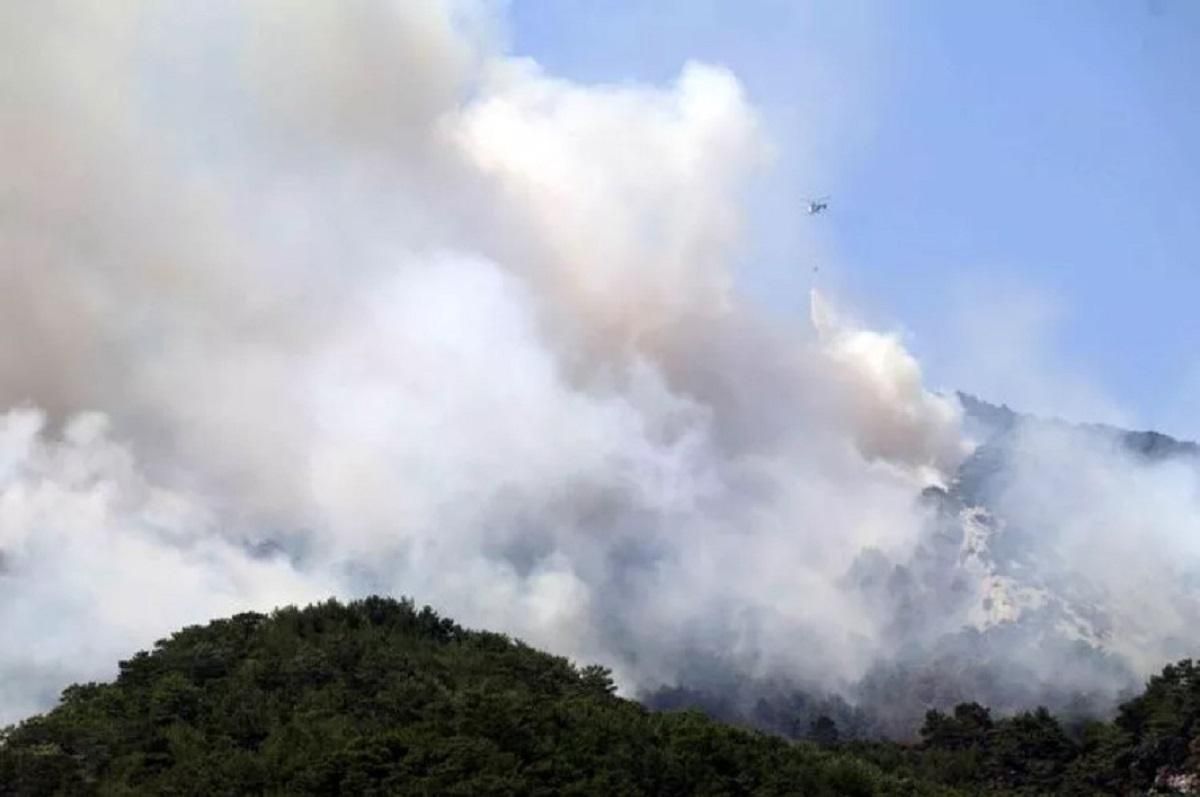 У Туреччині спалахнули нові лісові пожежі: моторошні фото - 24 Канал У Туреччині спалахнули нові лісові пожежі: моторошні фото - 24 Канал