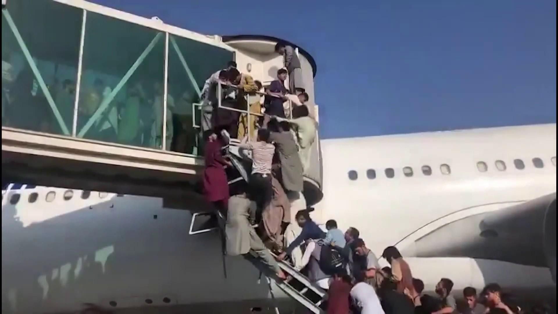 Серед евакуйованих у Німеччину Афганців є злочинці, яких раніше вислали з держави - 24 Канал Серед евакуйованих у Німеччину Афганців є злочинці, яких раніше вислали з держави - 24 Канал