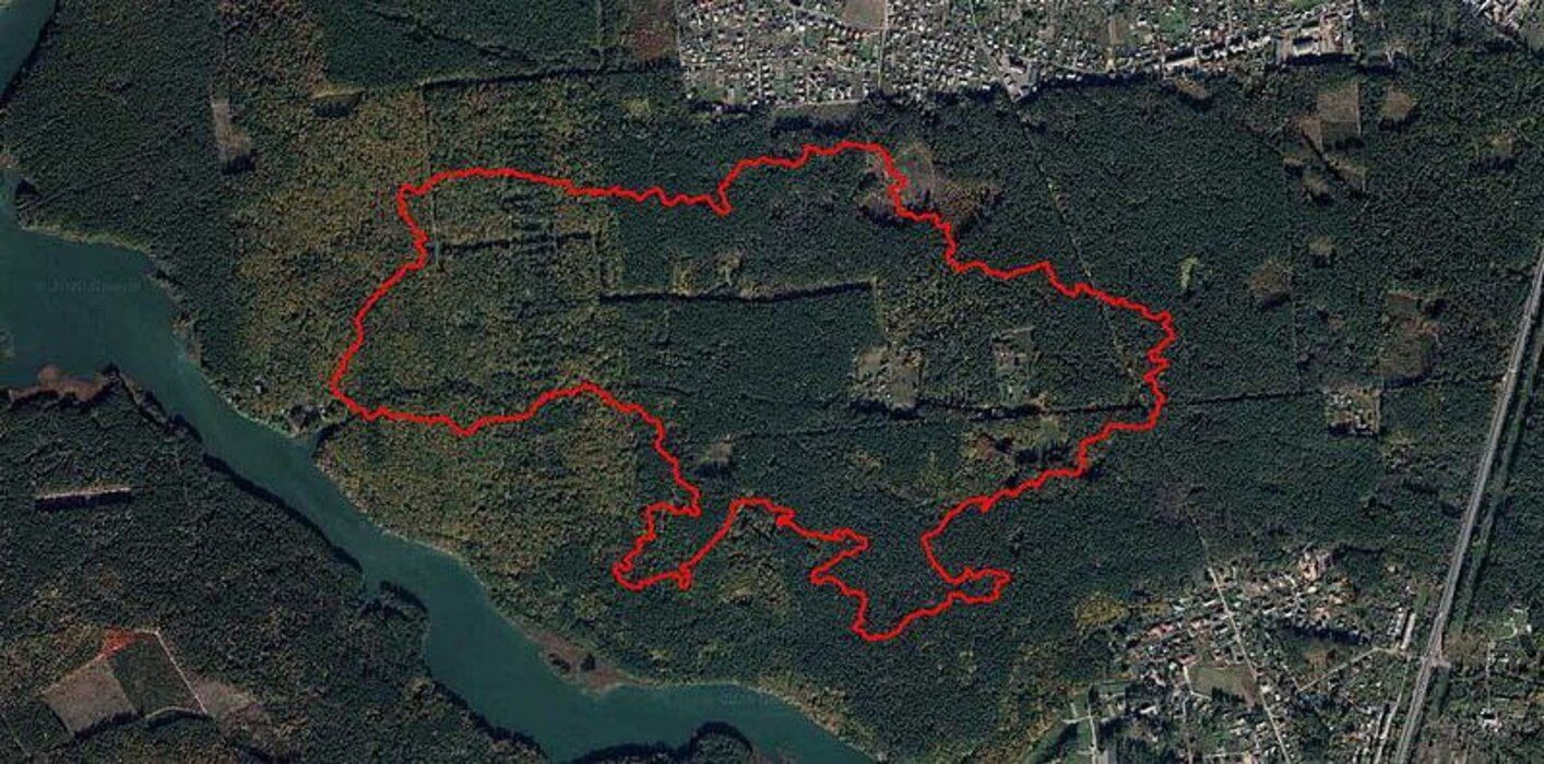 На Житомирщині у лісі створили стежку, яка відтворює контури карти України - Свіжі новини Житомира - 24 Канал