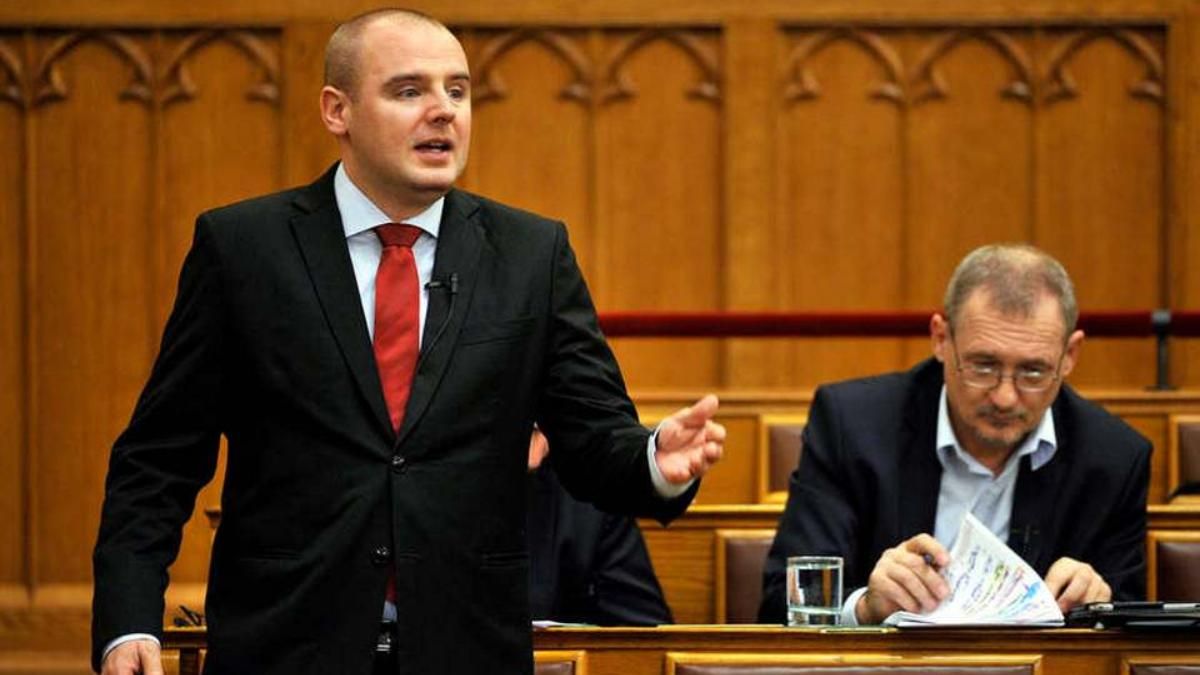 Экс-депутат из Венгрии, пойманный на границе Украины, избежал наказания за контрабанду