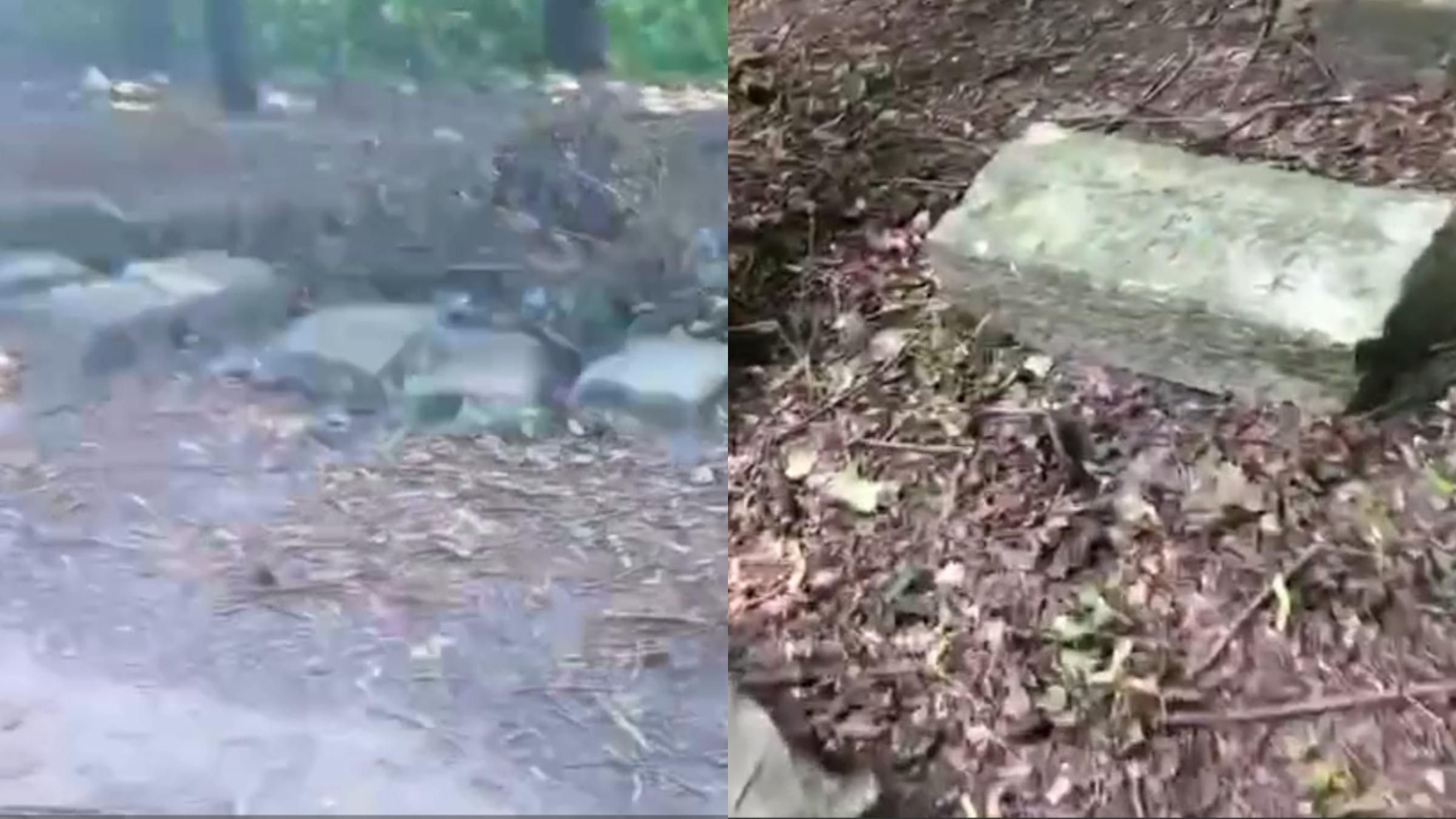 В Ровно на еврейском кладбище устроили велопарк: возмутительное видео В Ровно на еврейском кладбище устроили велопарк: возмутительное видео