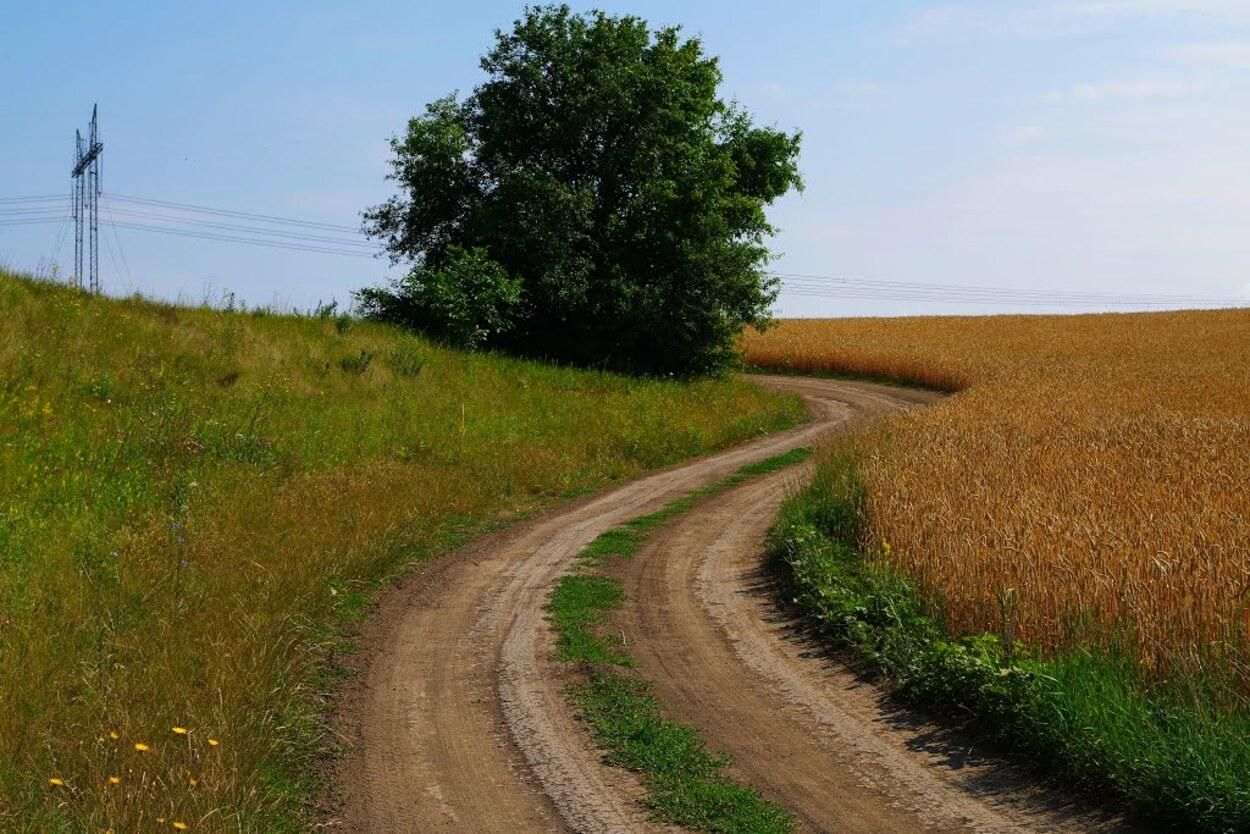 З тяжкими травмами: на Львівщині знайшли непритомного чоловіка на польовій дорозі - Новини Львів - Львів З тяжкими травмами: на Львівщині знайшли непритомного чоловіка на польовій дорозі - Новини Львів - Львів