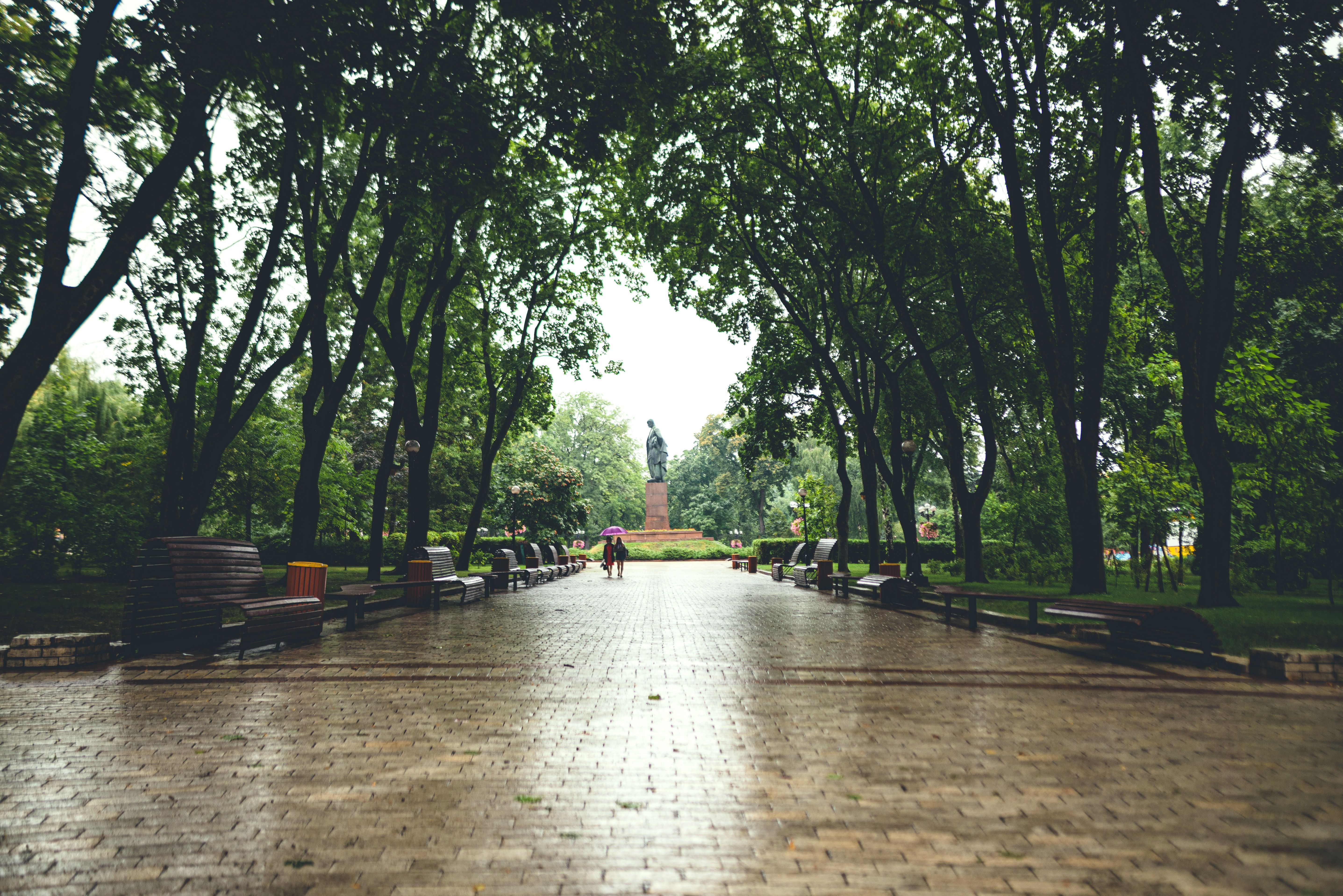 Погода на 26 августа 2021 в Украине: что прогнозируют синоптики Погода на 26 августа 2021 в Украине: что прогнозируют синоптики