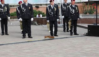 Разбавила официоз: на День Независимости в Черновцах на Центральную площадь выбежала белочка