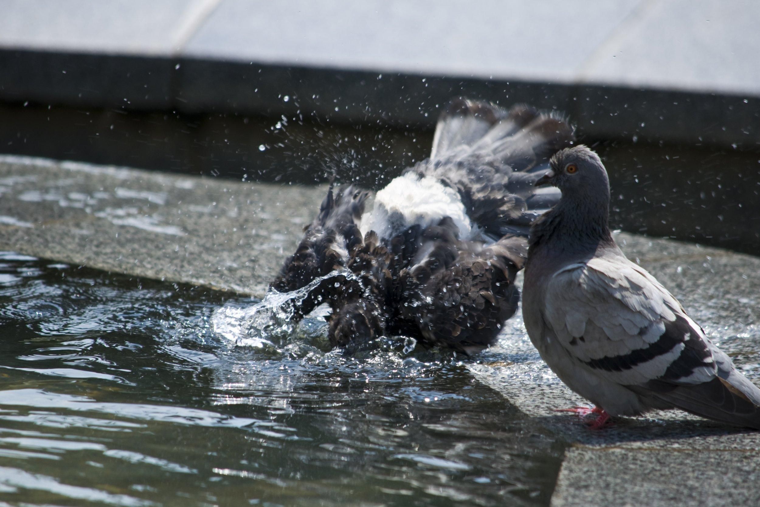 Літо в Україні щороку ставатиме спекотнішим, – кліматологиня - Україна новини - 24 Канал Літо в Україні щороку ставатиме спекотнішим, – кліматологиня - Україна новини - 24 Канал