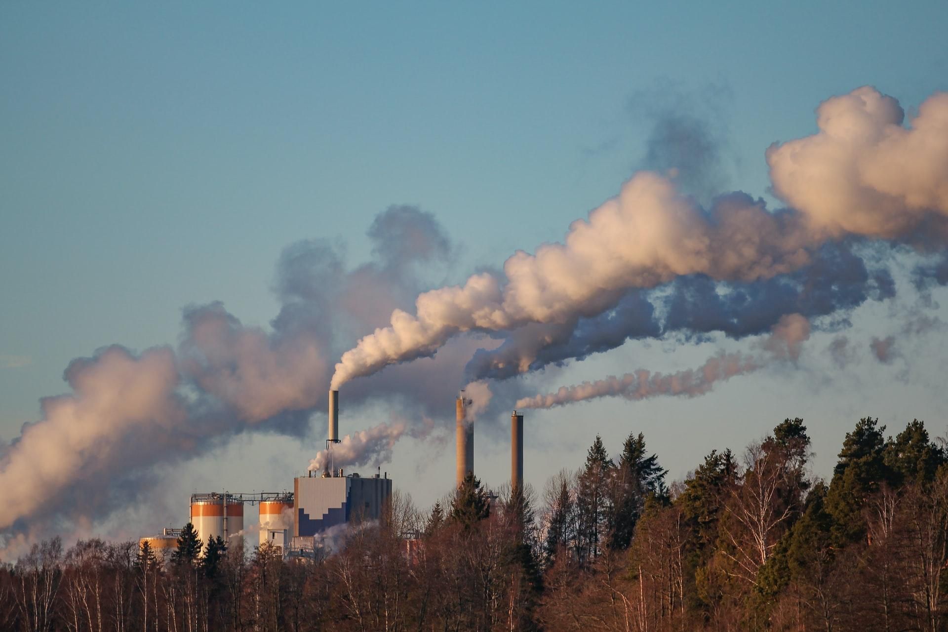COVID-19 не помог экологии: уровень вредных выбросов сегодня больше, чем до пандемии