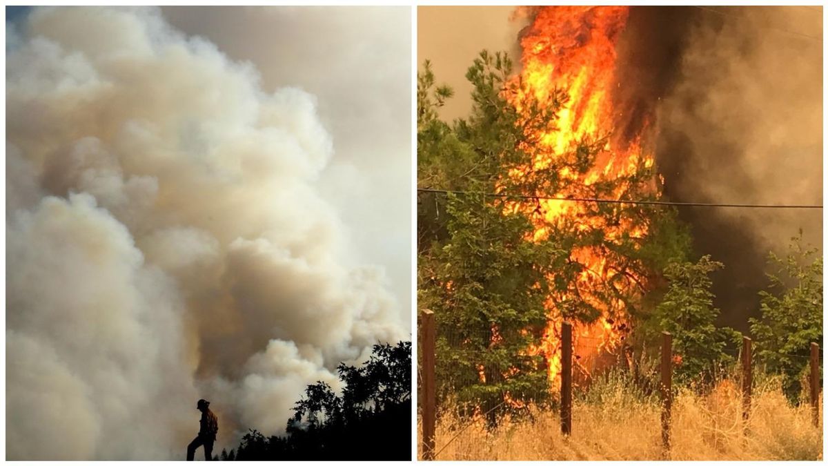 У США спалахнули нові лісові пожежі: дим наближається до Лос-Анджелеса - 24 Канал