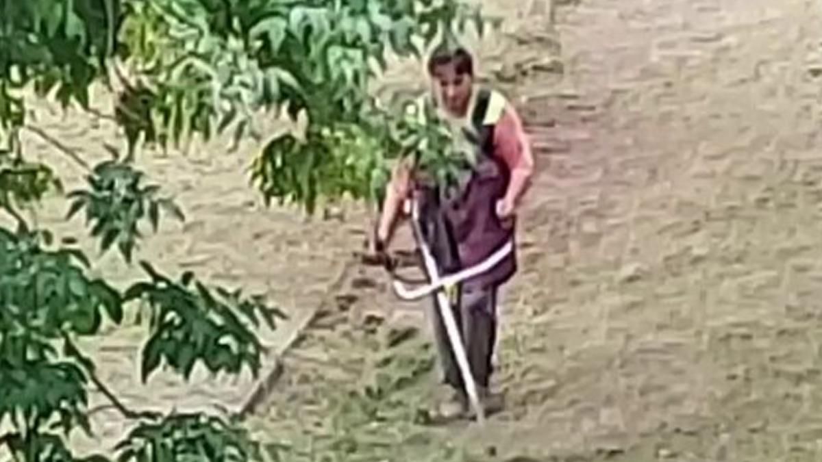 В Киеве коммунальщики стригут землю газонокосилкой: видео