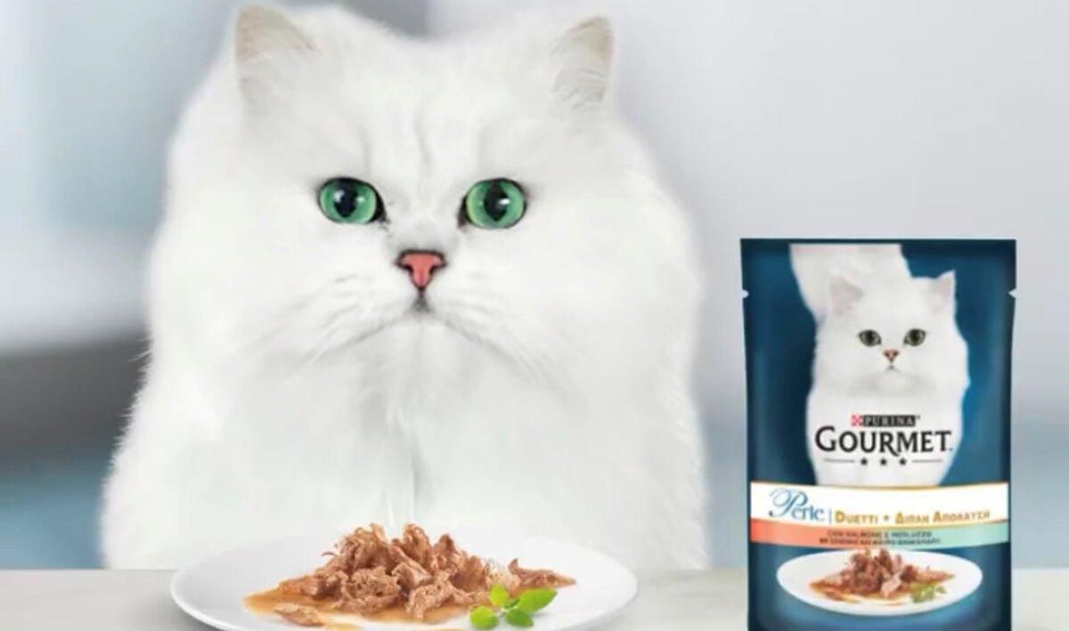 Справжні коти-гурмани цінують подвійні смаки у рецептах від GOURMET™ PERLE DUO