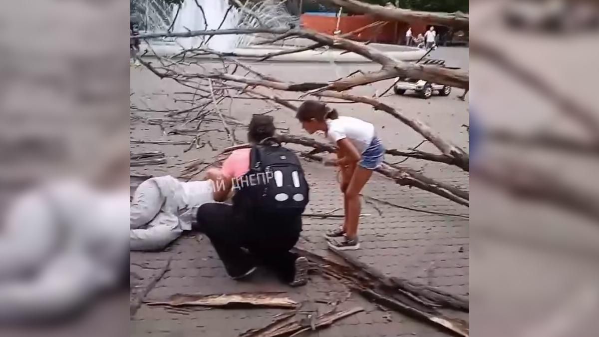 Переломало ноги: дерево упало на мужчину в парке Днепра – жуткое видео с места