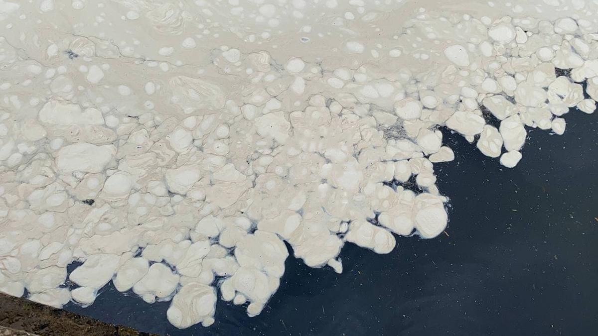 В Одесі море вкрилося невідомою субстанцією: відчувається сильний сморід – відео брудної води - Новини Одеси - 24 Канал В Одесі море вкрилося невідомою субстанцією: відчувається сильний сморід – відео брудної води - Новини Одеси - 24 Канал