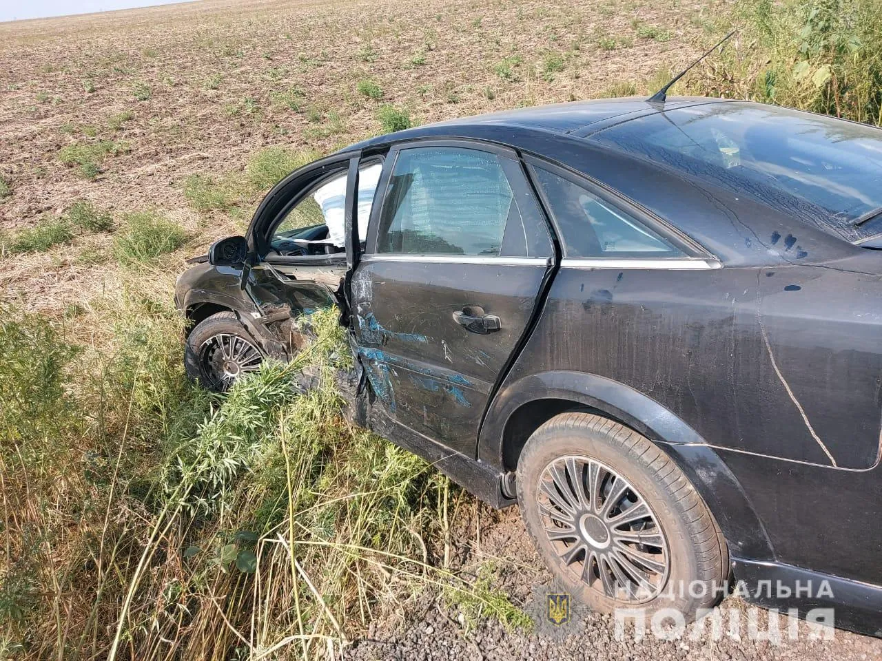 ДТП під Херсоном 25 серпня 2021 Злетіли в кювет загинула жінка