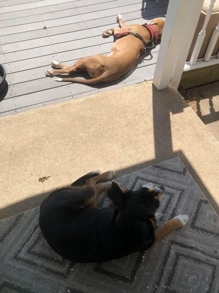 І серед людей є любителі засмагати на сонці, а є ті, хто ховається у тіні І серед людей є любителі засмагати на сонці, а є ті, хто ховається у тіні