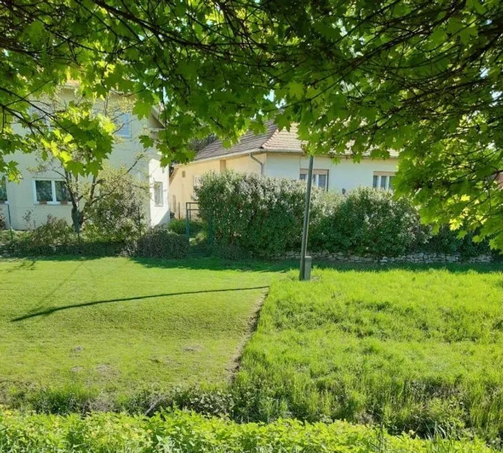 Не всі так турбуються про свій газон Не всі так турбуються про свій газон