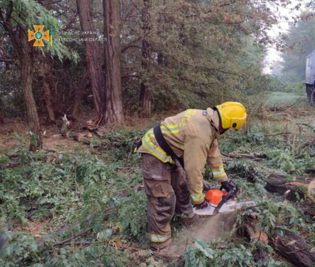 Гроза розгулялася: через негоду на Херсонщині дерева завалили 4 кілометри дороги - Новини Херсона - 24 Канал Гроза розгулялася: через негоду на Херсонщині дерева завалили 4 кілометри дороги - Новини Херсона - 24 Канал