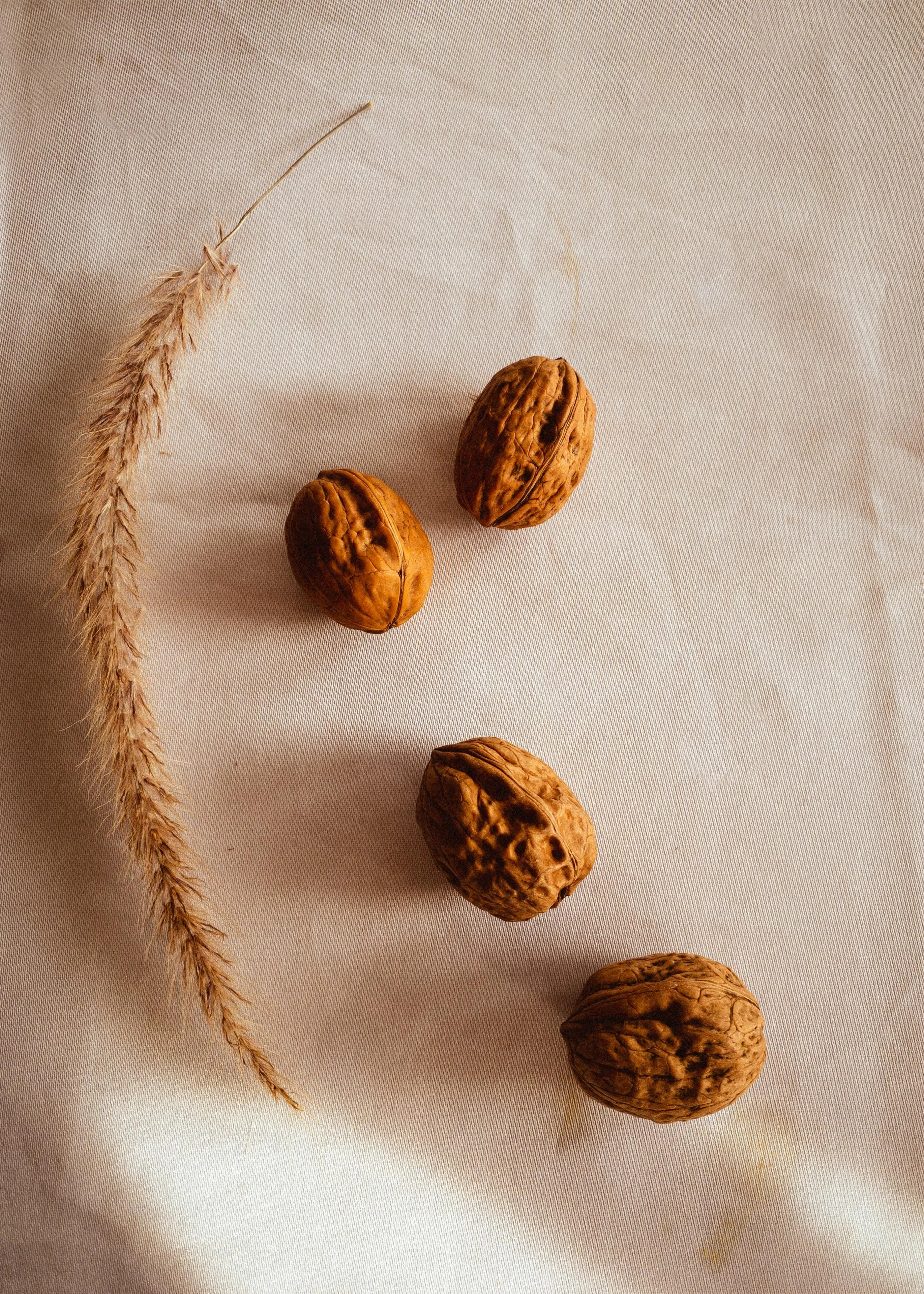 Що не можна робити на Горіховий Спас 2021 Що не можна робити на Горіховий Спас 2021