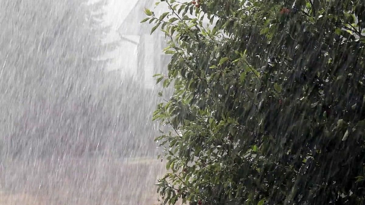 Сильні зливи і туман: рятувальники попередили українців про негоду - 24 Канал Сильні зливи і туман: рятувальники попередили українців про негоду - 24 Канал