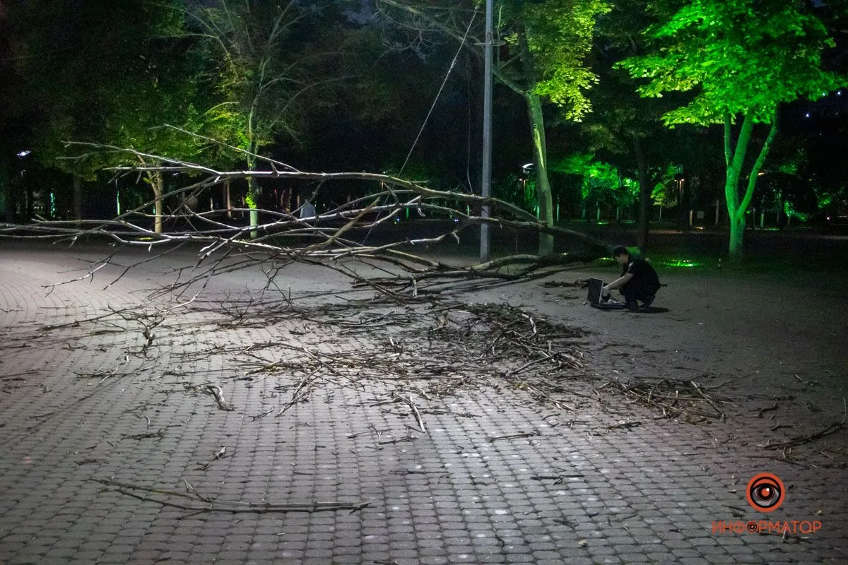 Дерево впало на чоловіка в Дніпрі