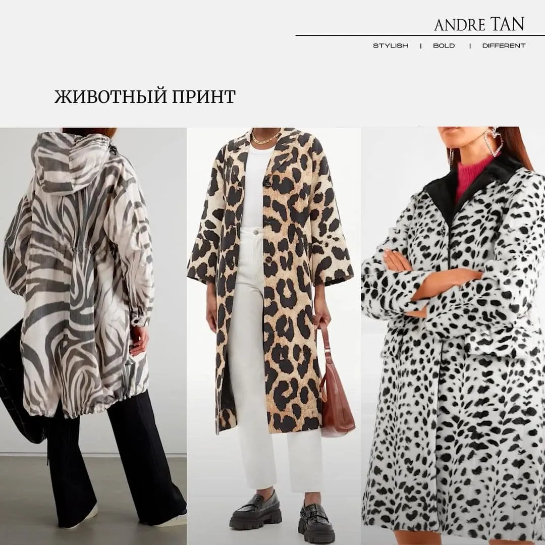 Тренди верхнього одягу на осінь / Фото з інстаграму Андре Тана Тренди верхнього одягу на осінь / Фото з інстаграму Андре Тана