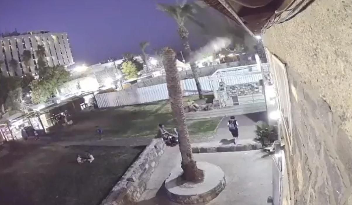 В Израиле женщину, дважды победившую рак, убила пальма – жуткое видео В Израиле женщину, дважды победившую рак, убила пальма – жуткое видео