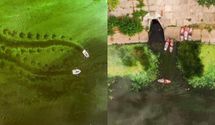 Зеленое пюре вместо реки: эксперты объяснили катастрофу с водой в Днепре
