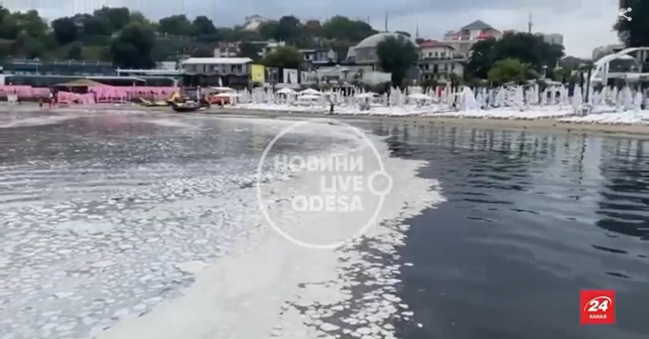 Чому море в Одесі вкрилося білою смердючою плівкою: відповідь екологів - Україна новини - 24 Канал