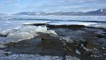 Самый северный остров в мире: у Гренландии ученые сделали случайное открытие