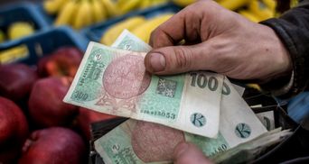 Сколько денег ежегодно тратят жители Чехии: интересная статистика