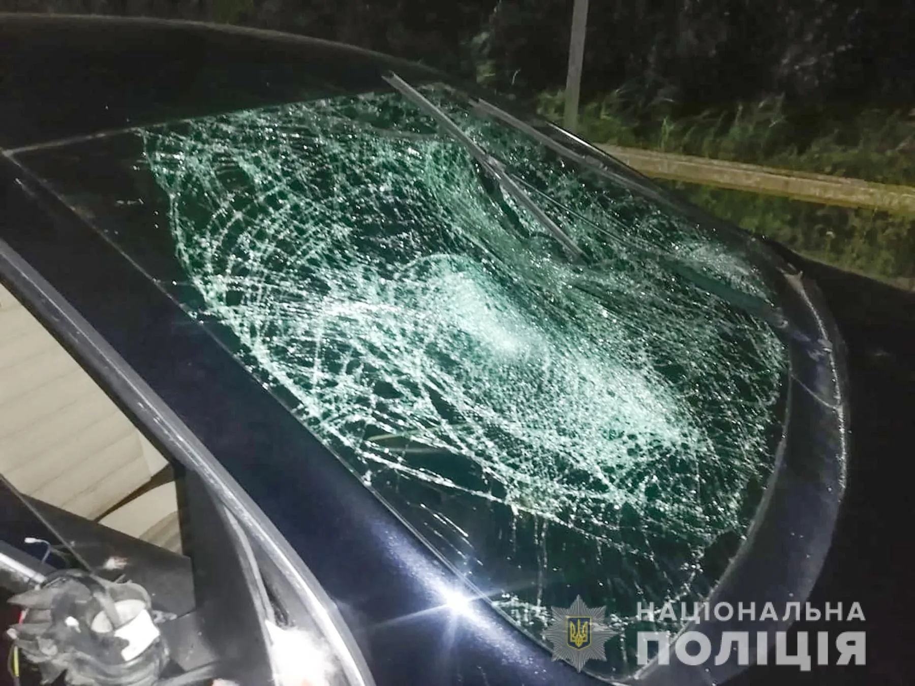 На Запоріжжі водій збив 3 дітей На Запоріжжі водій збив 3 дітей