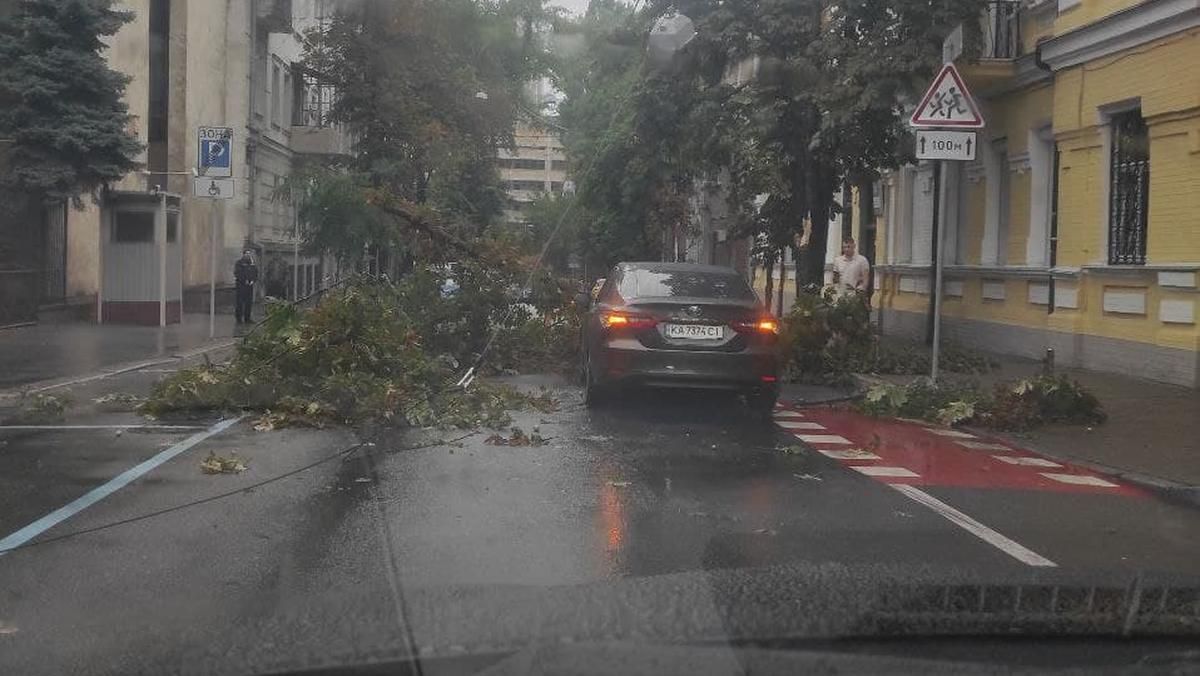 Можуть падати дерева: Київ накриває негода - Новини Києва сьогодні - Київ Можуть падати дерева: Київ накриває негода - Новини Києва сьогодні - Київ