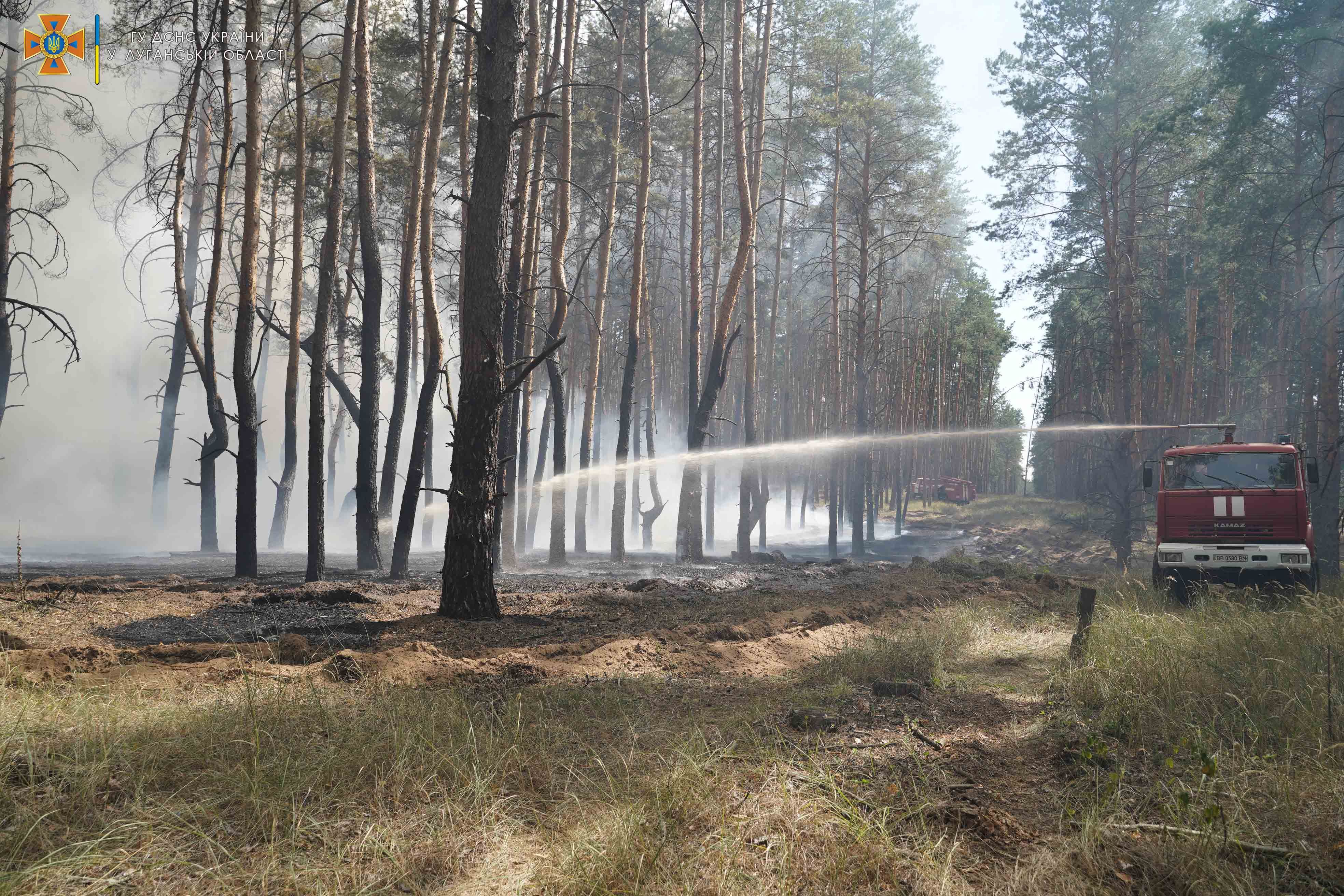 На Луганщине снова вспыхнули лесные пожары