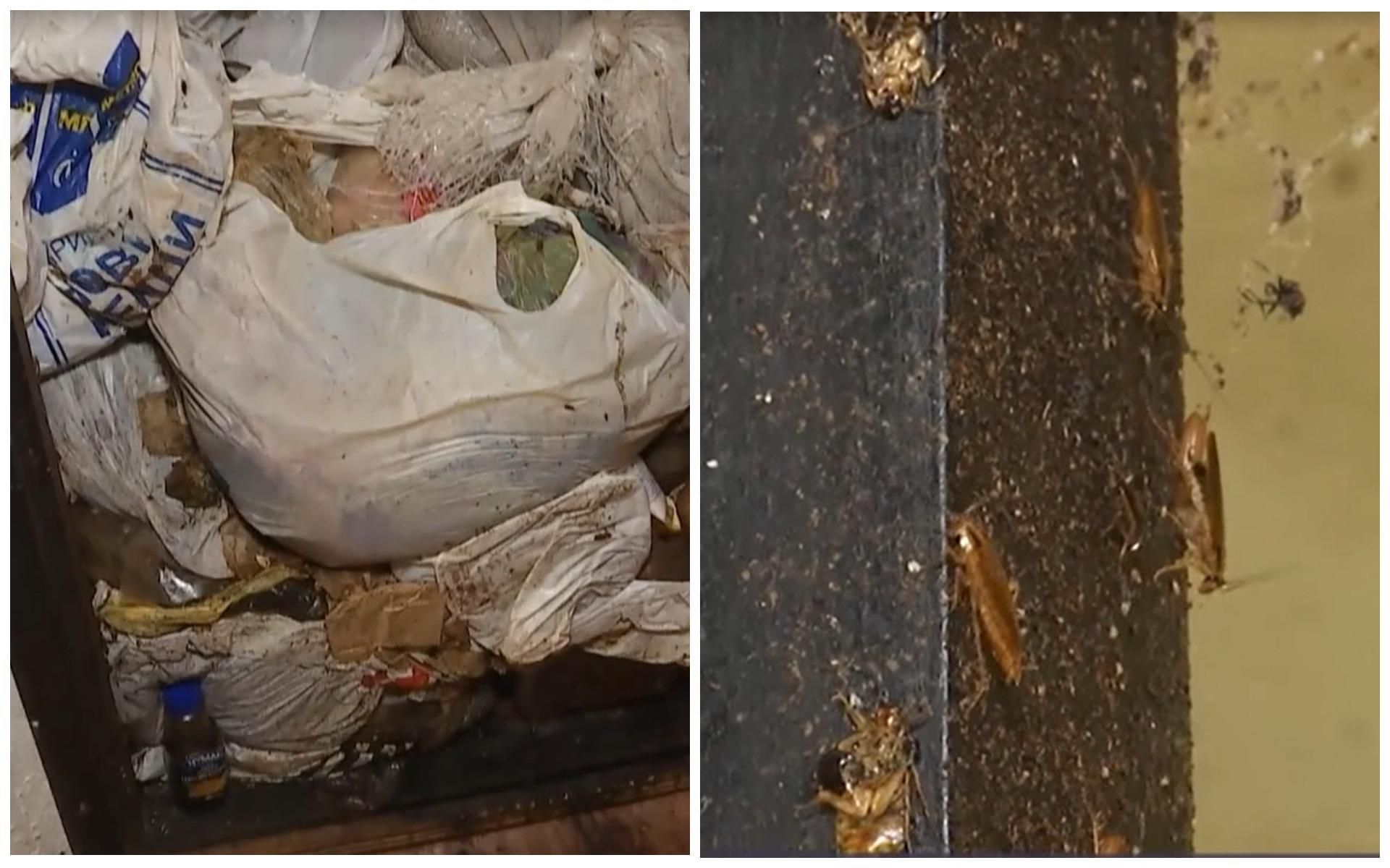 "Сусідський терор": у Києві жінка збирає сміття з тарганами у квартирі і викидає їх через вікно - Кримінальні новини України - Київ