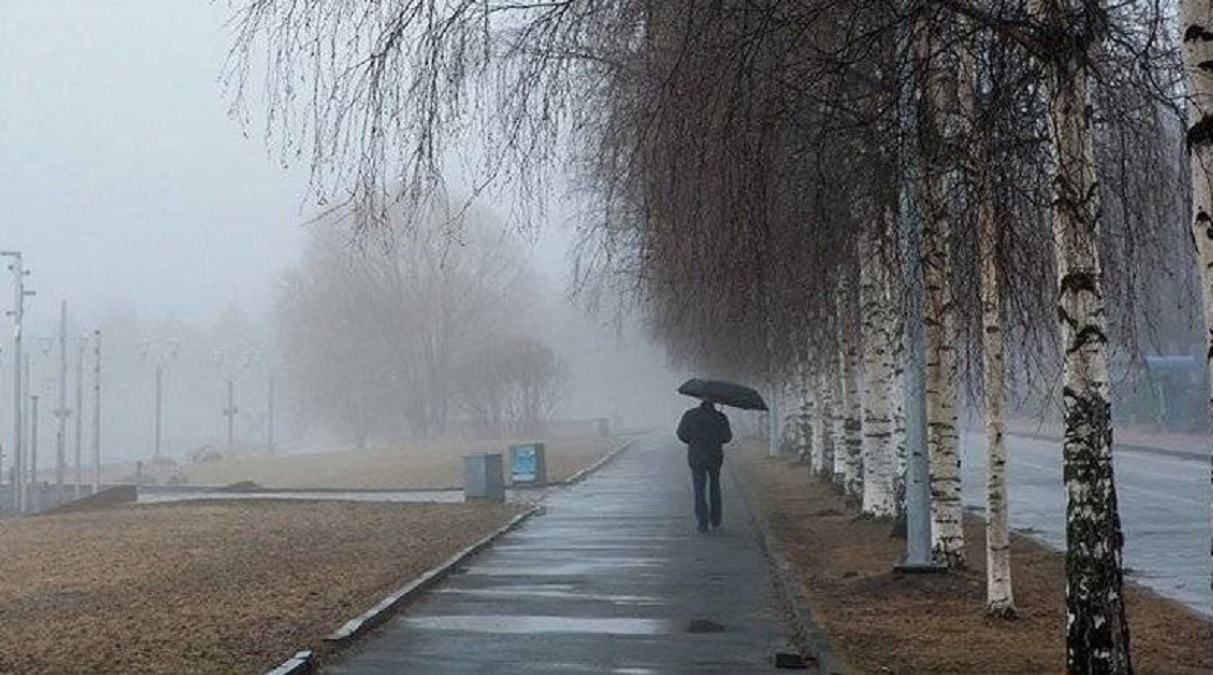 Через 20 років зими може й не бути: синоптик попередив про зміни клімату в Україні - 24 Канал