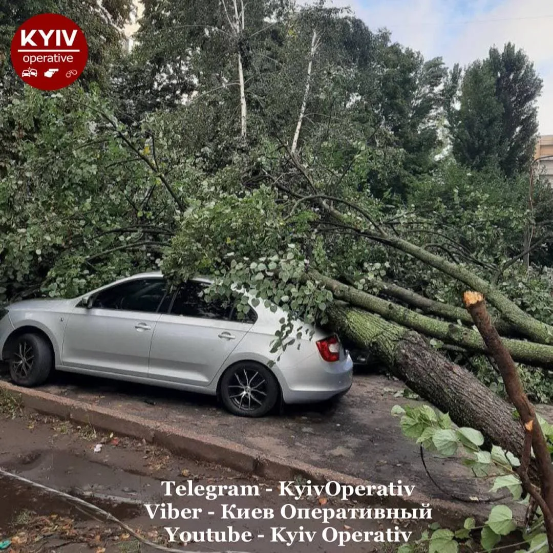 Впали дерева Негода Київ Негода 30 серпня 