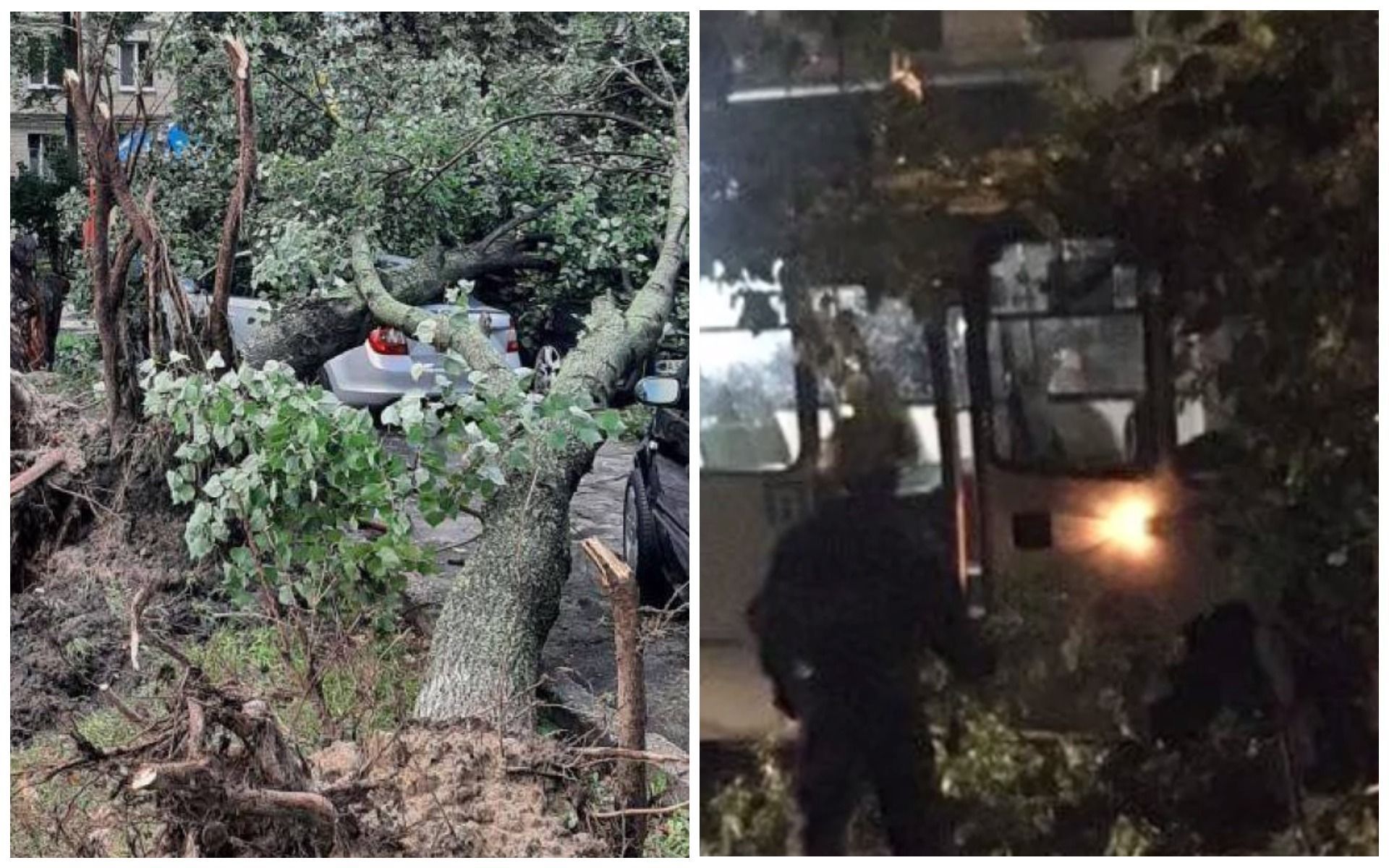 В Киеве из-за непогоды деревья разбили машины: фото и видео с места В Киеве из-за непогоды деревья разбили машины: фото и видео с места