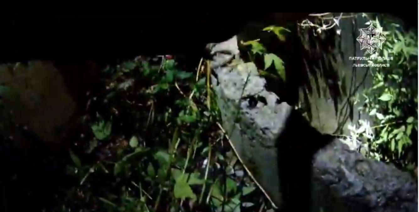 Была очень обессиленная: львовянка упала в канализационный колодец – видео спасения