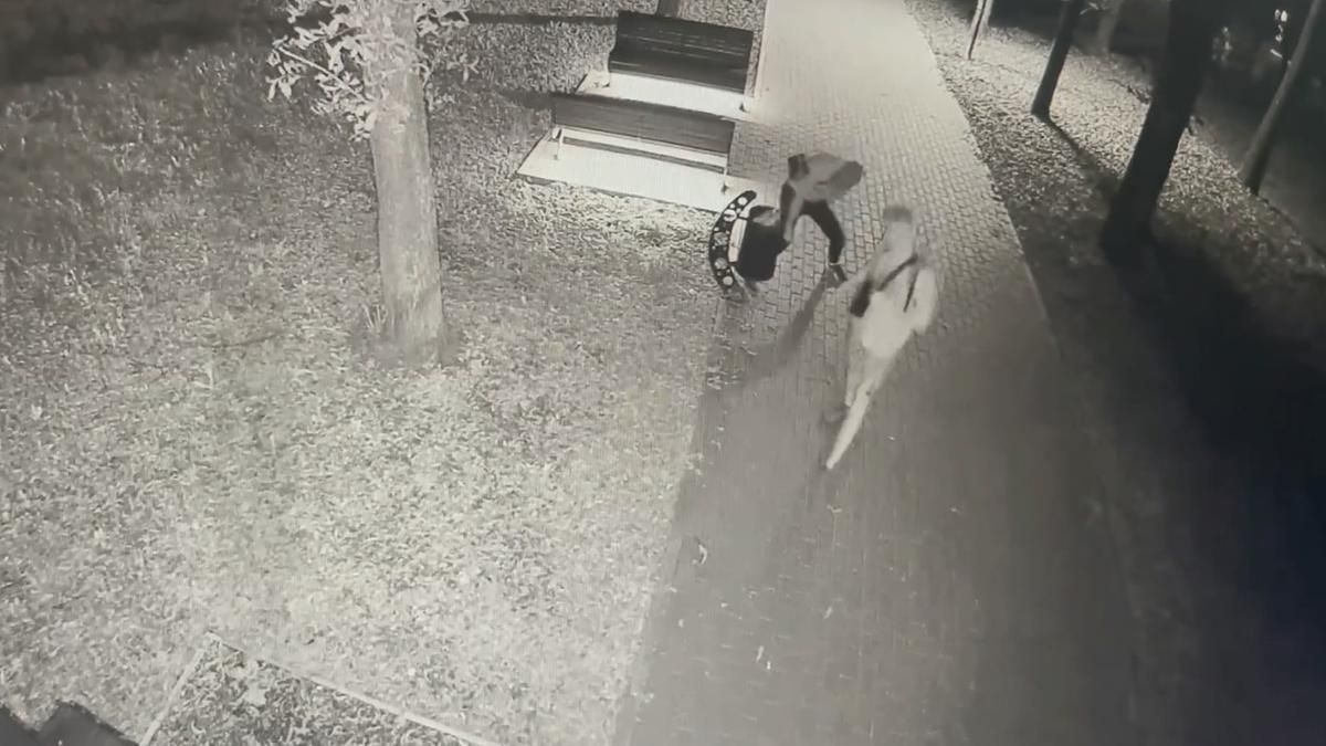 За 30 минут сломали 16 урн: дерзкое хулиганство в харьковском парке сняли на видео
