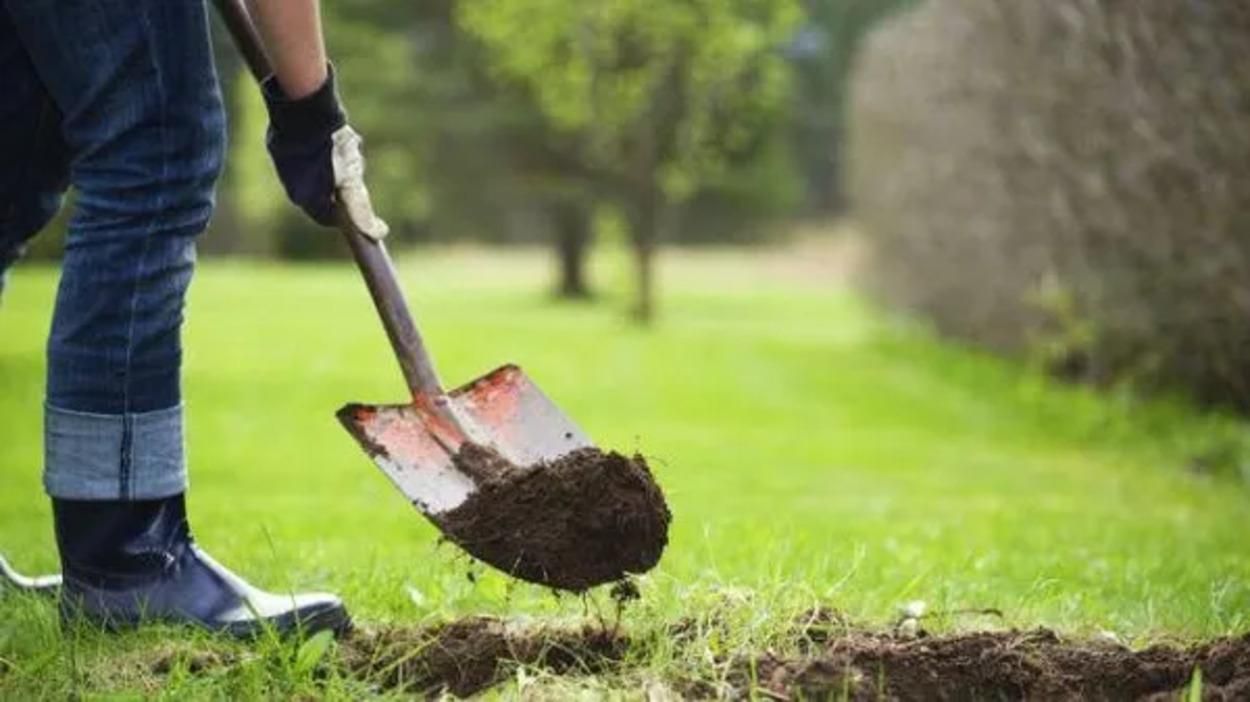 На Львовщине пьяный мужчина раскапывал могилы на кладбище: ему грозит тюрьма На Львовщине пьяный мужчина раскапывал могилы на кладбище: ему грозит тюрьма