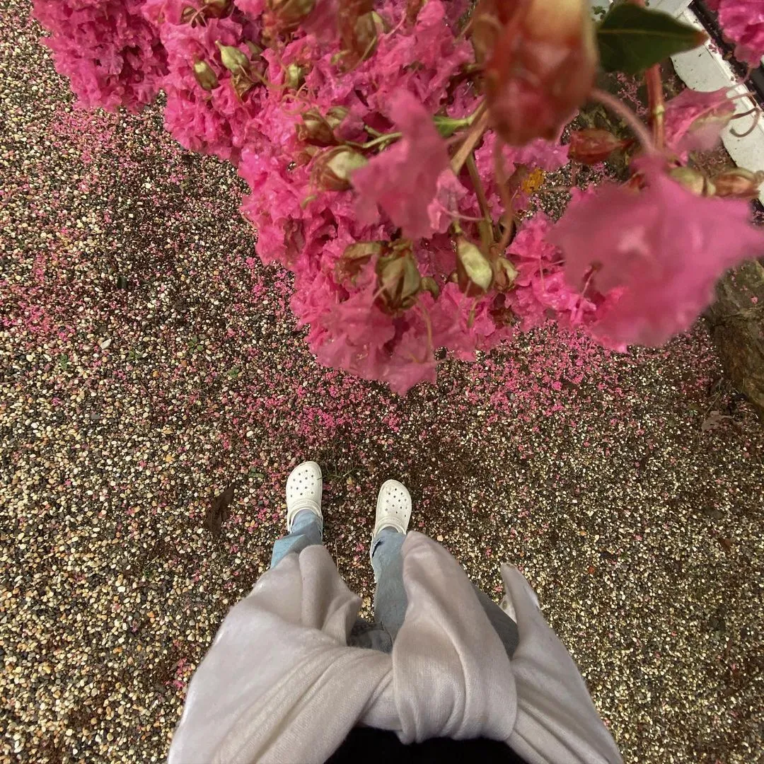 Джіджі Хадід Джіджі Хадід