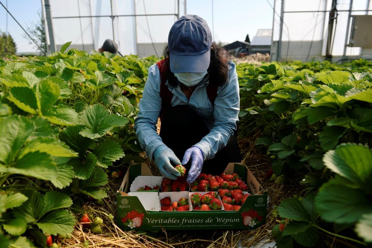 Заробітки за кордоном: поради експертів щодо недобросовісних посередників - Україна новини - 24 Канал Заробітки за кордоном: поради експертів щодо недобросовісних посередників - Україна новини - 24 Канал