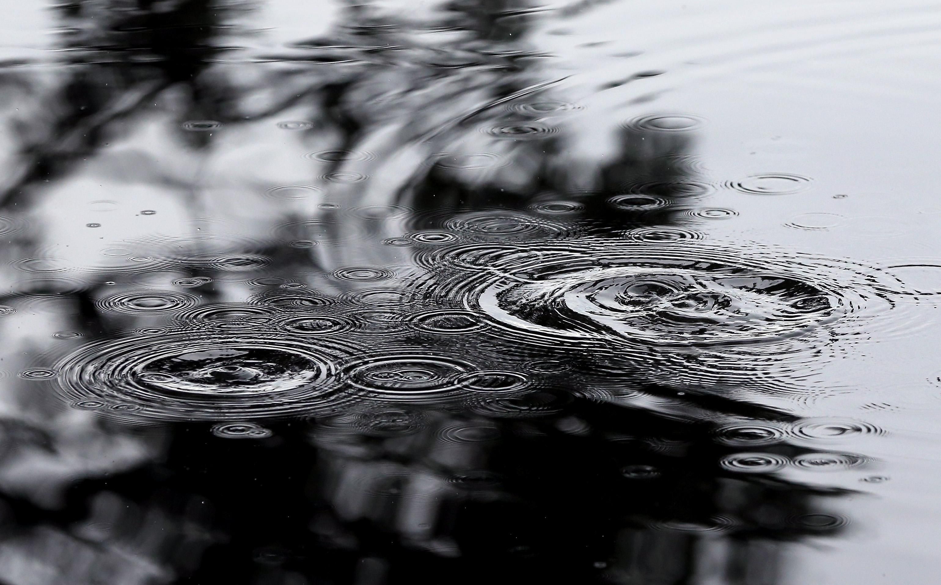 Погода на 2 вересня 2021 в Україні: що прогнозують синоптики Погода на 2 вересня 2021 в Україні: що прогнозують синоптики