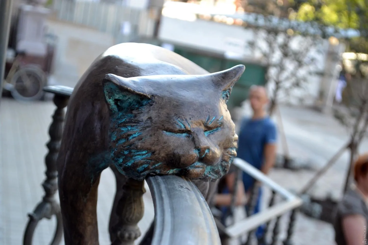 Рижик Рижик