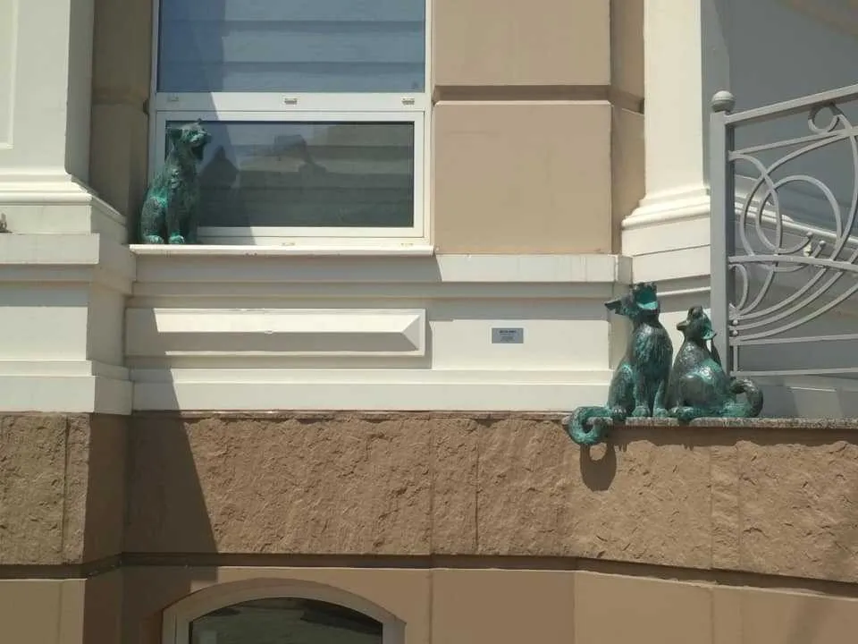 Співаючі коти Співаючі коти