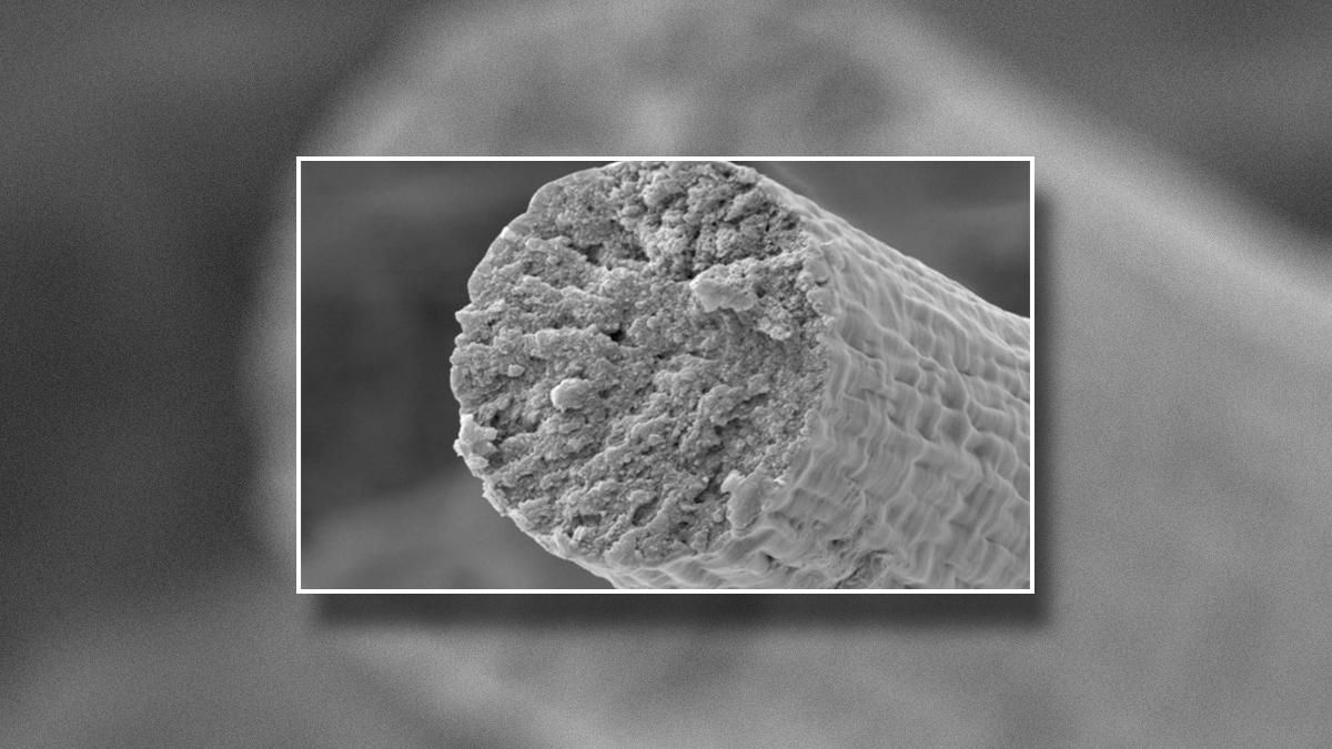 Міцніші, ніж кевларова броня: створили синтетичні м'язи, з яких можна шити одяг - Новини технологій - Техно Міцніші, ніж кевларова броня: створили синтетичні м'язи, з яких можна шити одяг - Новини технологій - Техно